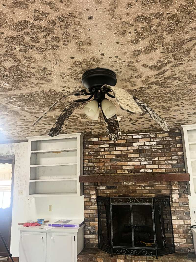 CAMDEN MOLD CEILING edited