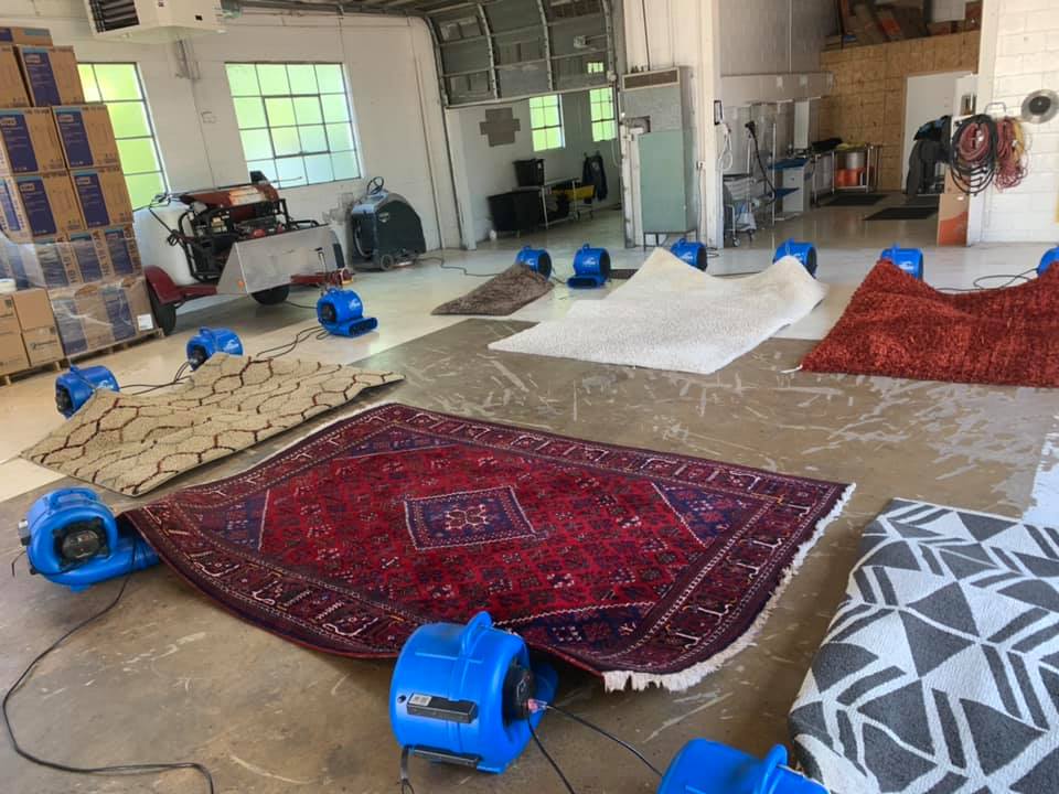 Oriental rug Cleaning