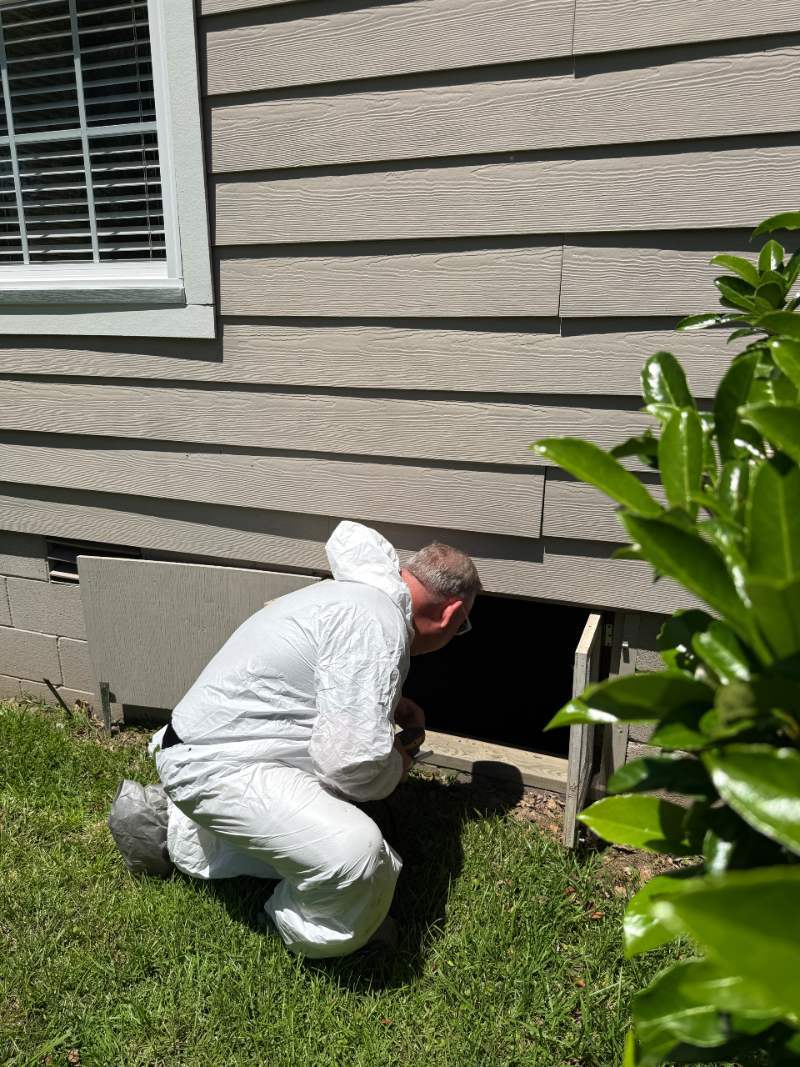 outside a home's crawlspace 