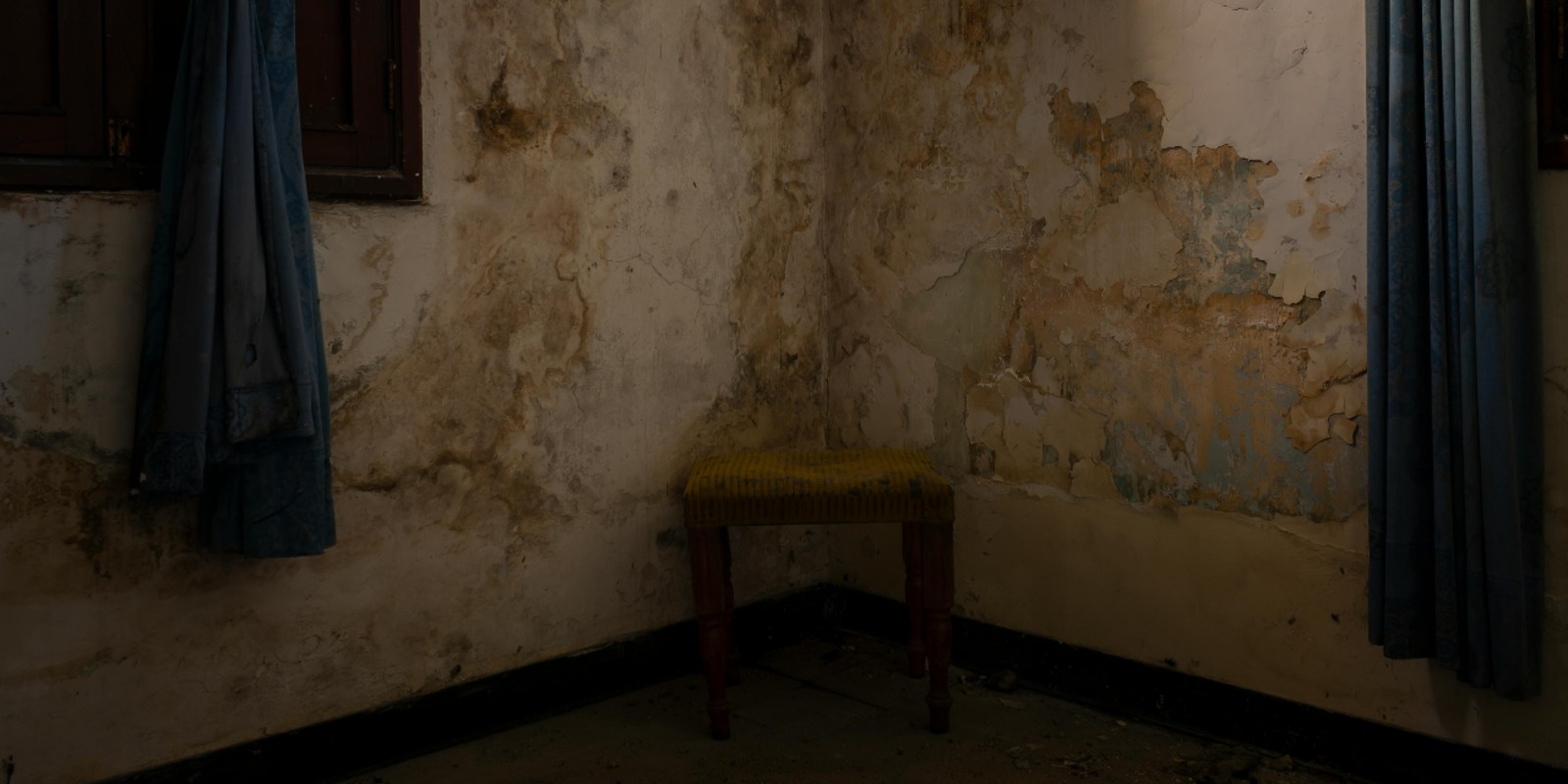 House with mold on the walls