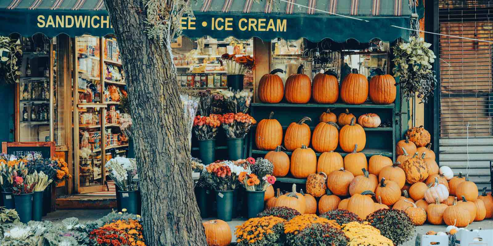 What Should a Business Check Before Hosting a Fall Event?