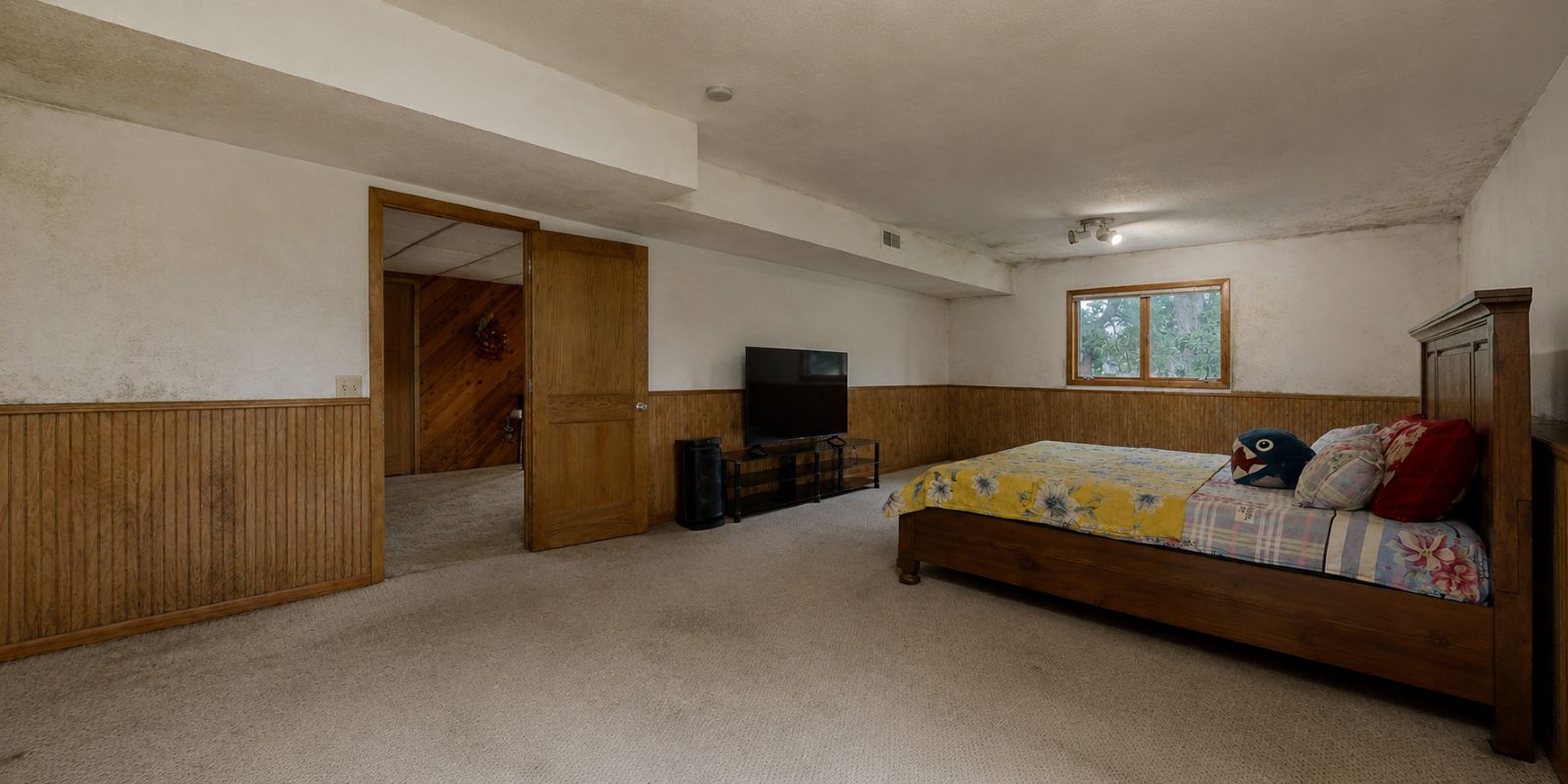 Mold in basement