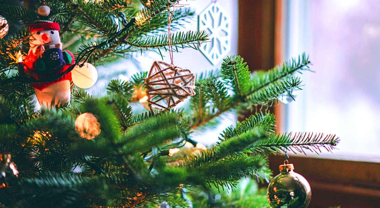 A picture of a Christmas tree.