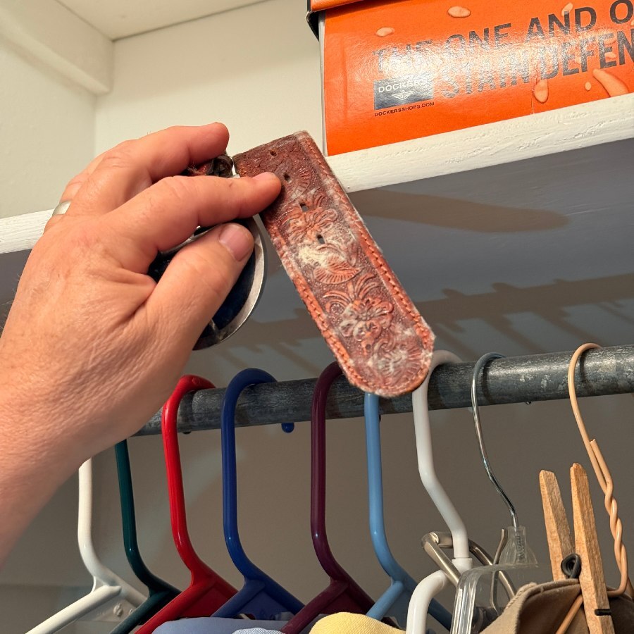 mold in belt