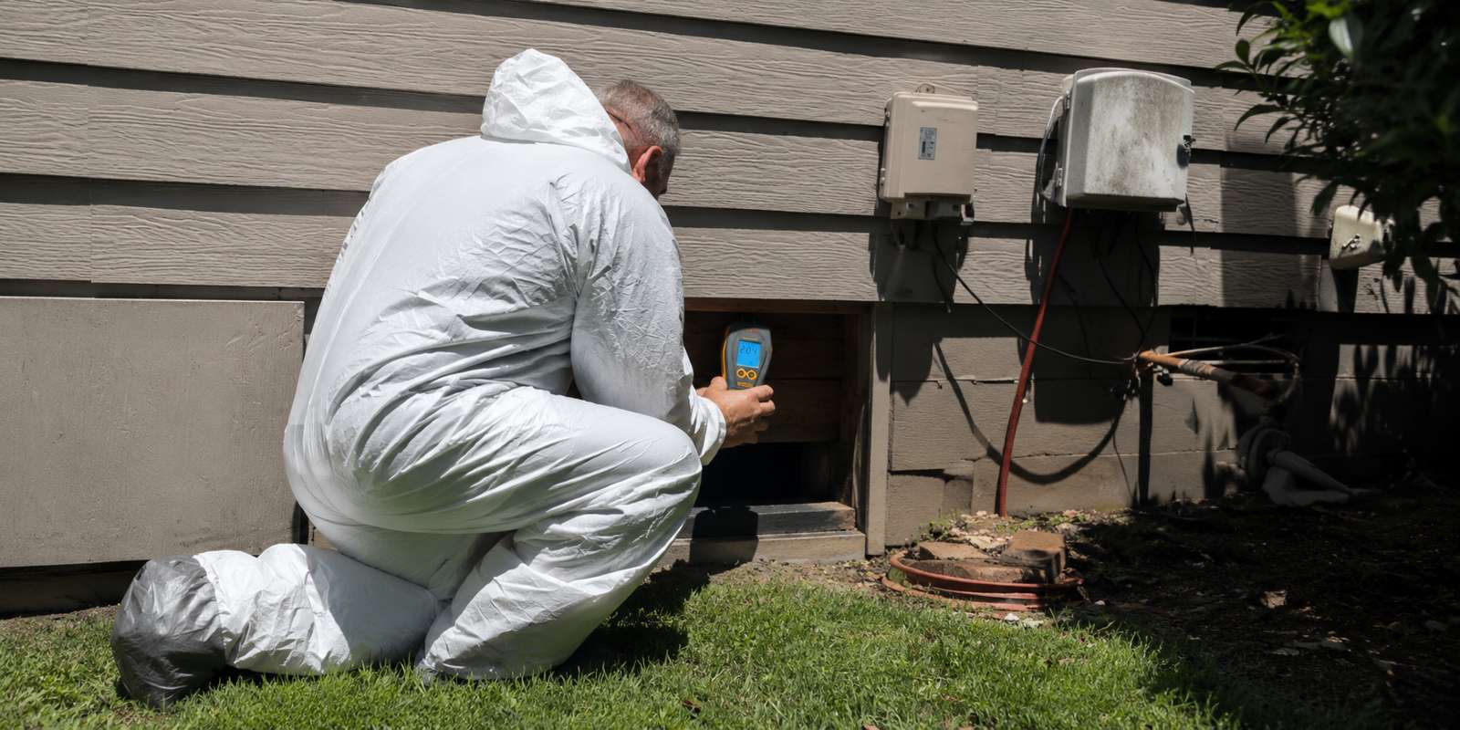 Summer odors in Arkansas homes.