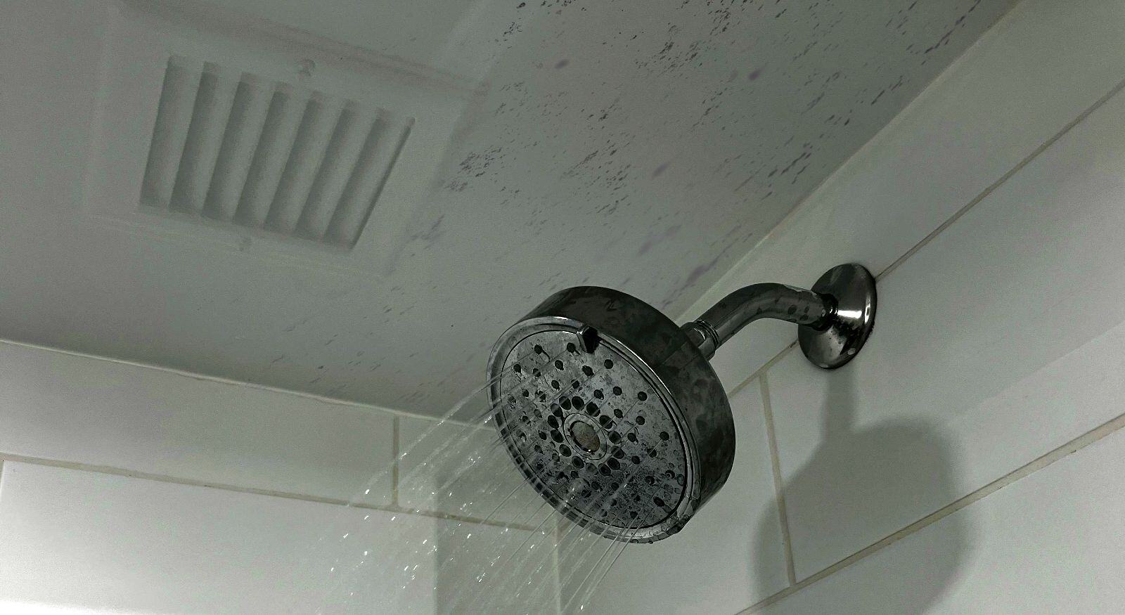 Mold in a bathroom ceiling.